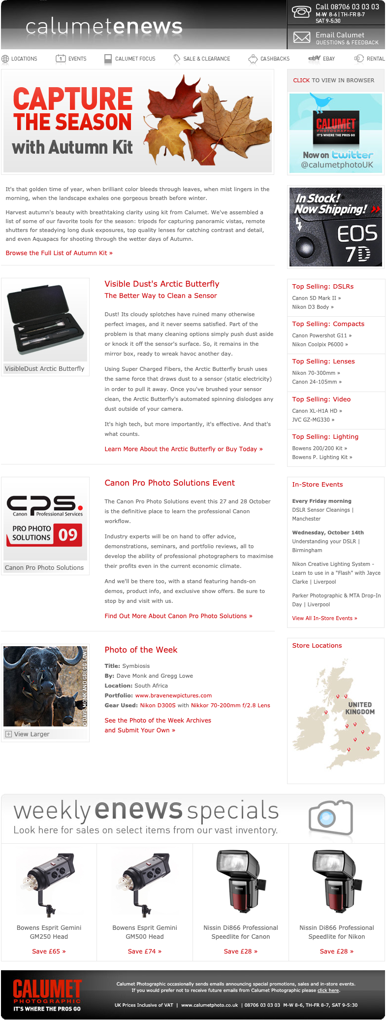 Example Email