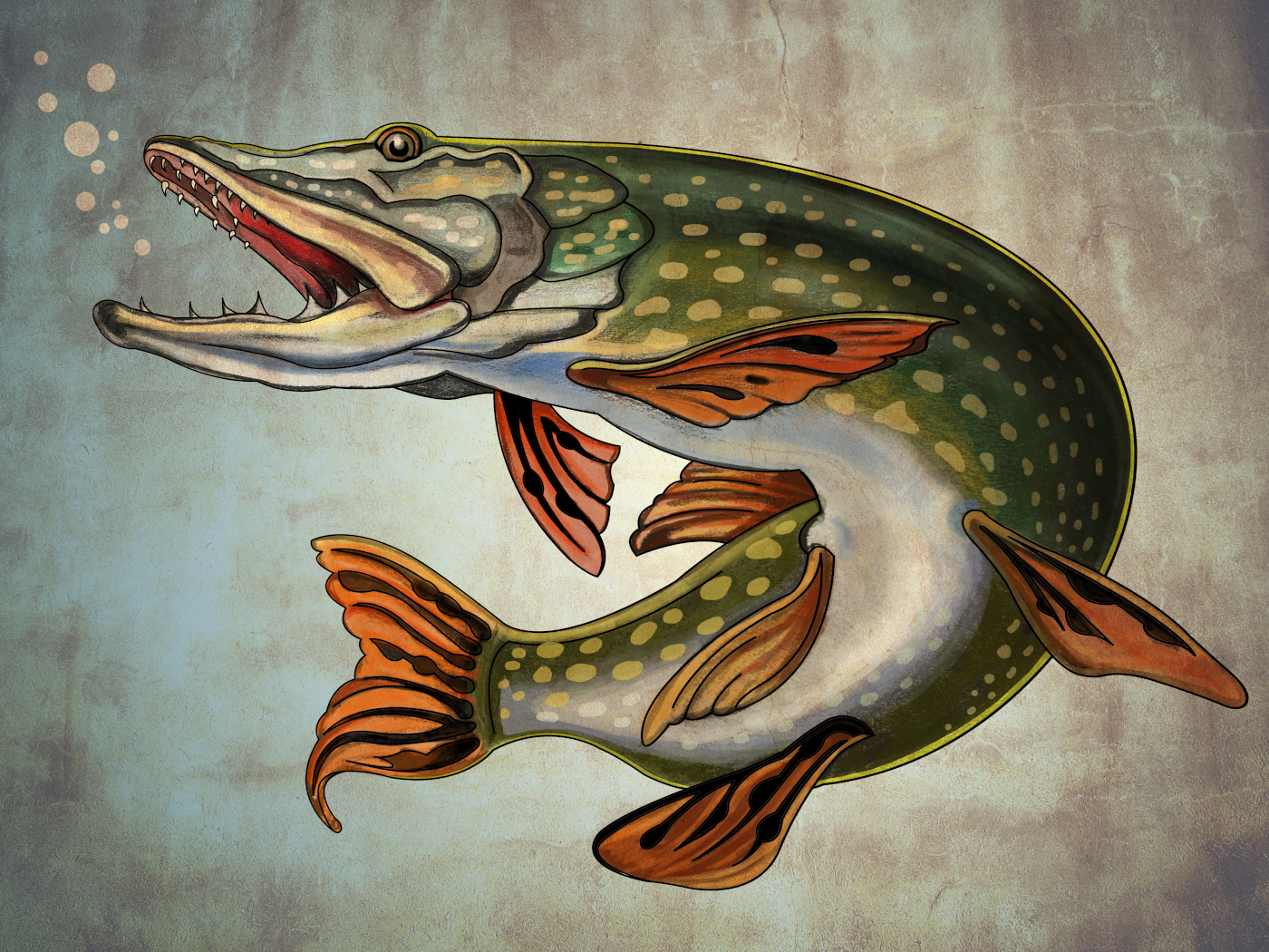Northern Pike